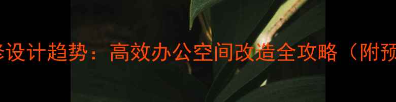 图片 写字楼装修设计趋势：高效办公空间改造全攻略（附预算清单）2
