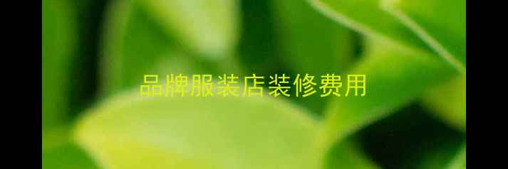 图片 品牌服装店装修费用