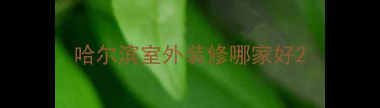 图片 哈尔滨室外装修哪家好2