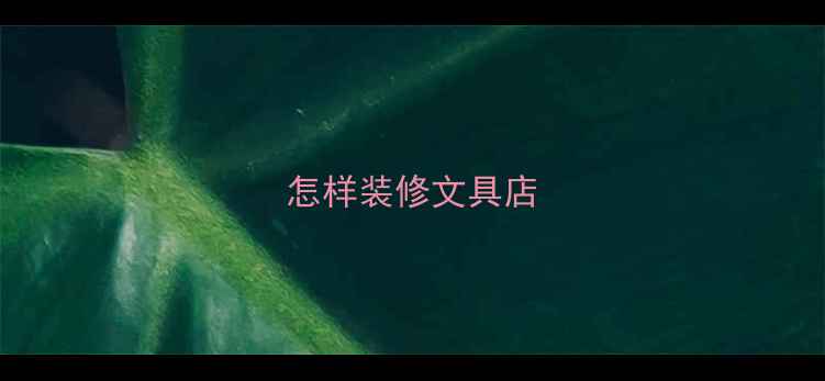 图片 怎样装修文具店