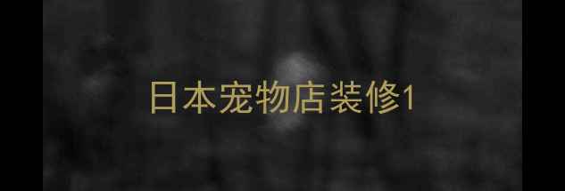图片 日本宠物店装修1
