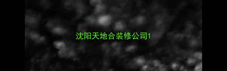 图片 沈阳天地合装修公司1