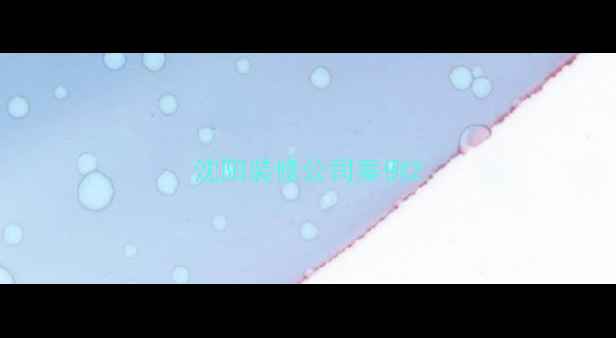 图片 沈阳装修公司案例2