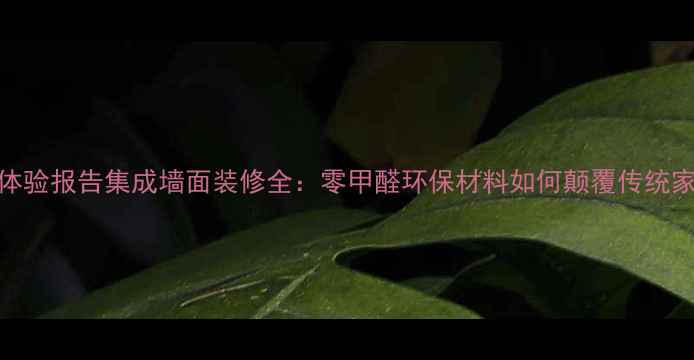 图片 真实体验报告集成墙面装修全：零甲醛环保材料如何颠覆传统家居？