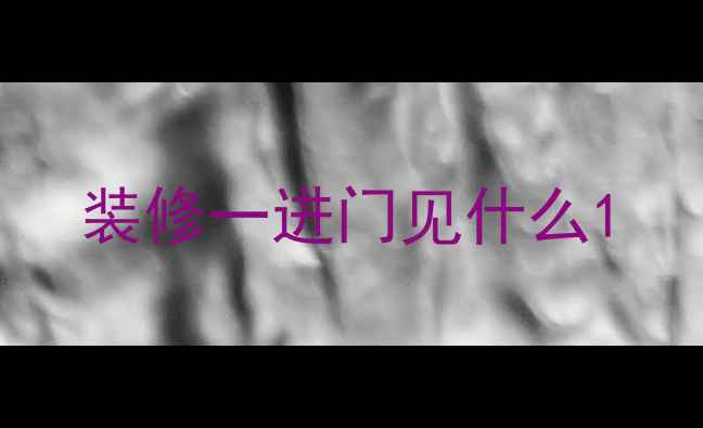 图片 装修一进门见什么1
