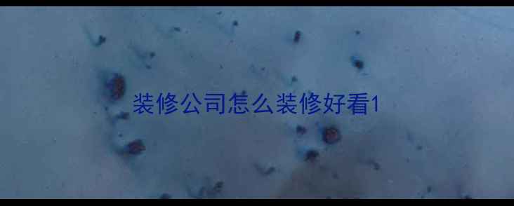 图片 装修公司怎么装修好看1