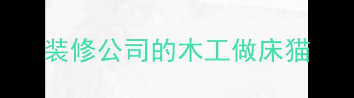 图片 装修公司的木工做床猫