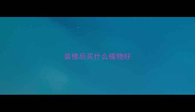 图片 装修后买什么植物好