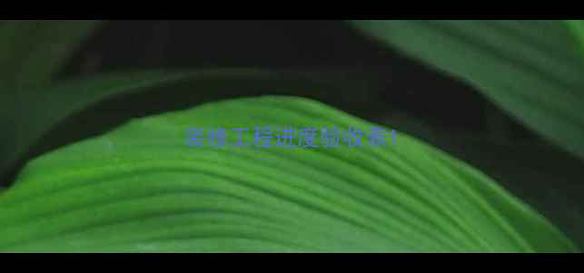 图片 装修工程进度验收表1