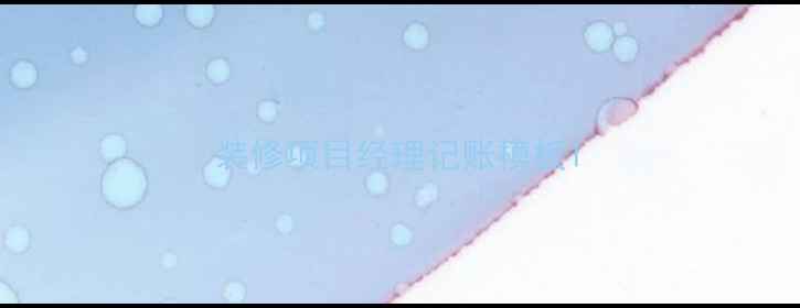 图片 装修项目经理记账模板1